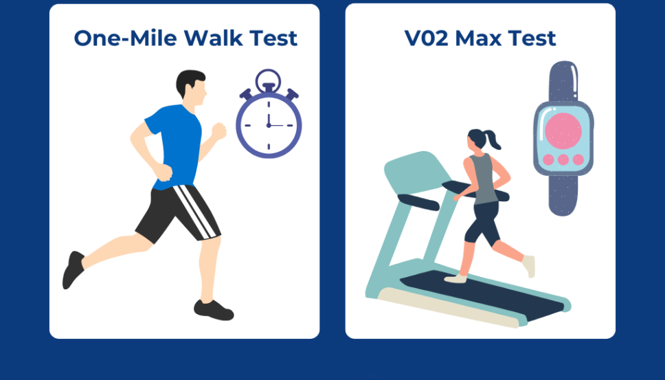 aerobic tests