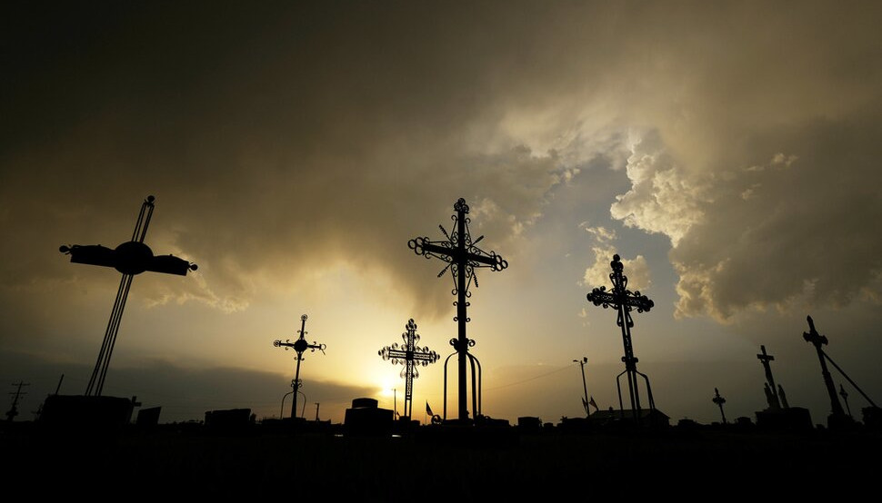 crosses in cemetery