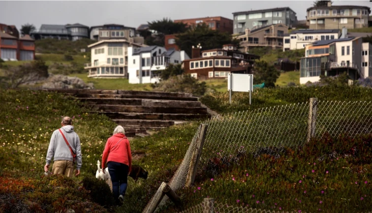 old couple walking dogs