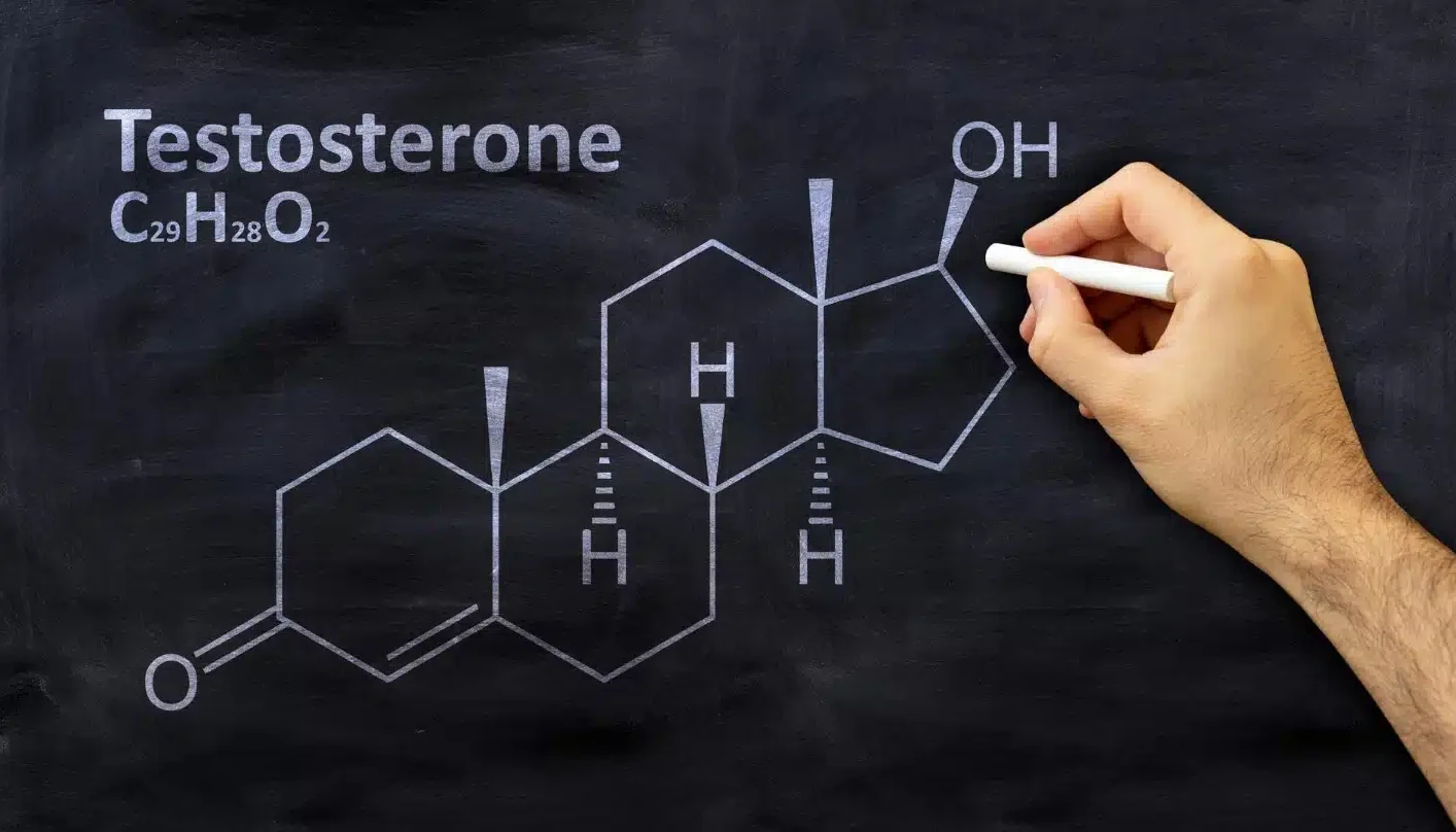 testosterone molecule